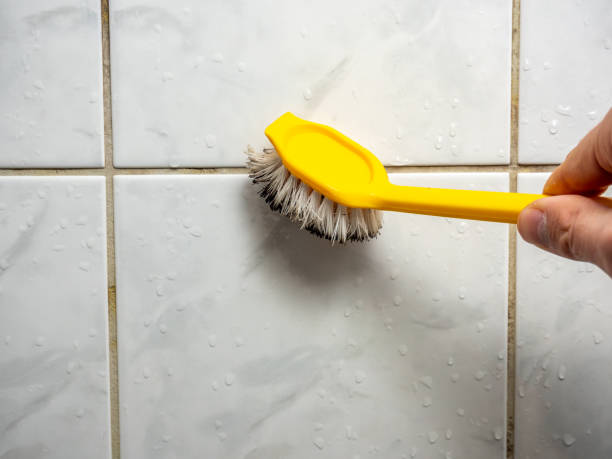 Best Residential Mold Removal  in Tularosa, NM
