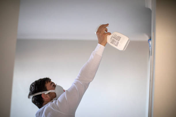 Best Mold Testing  in Tularosa, NM