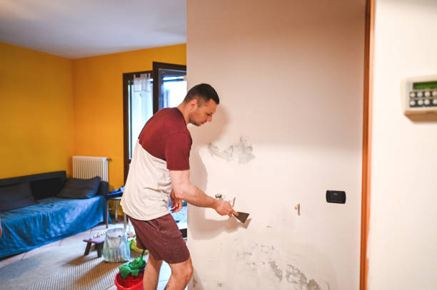 Best Affordable Mold Removal  in Tularosa, NM